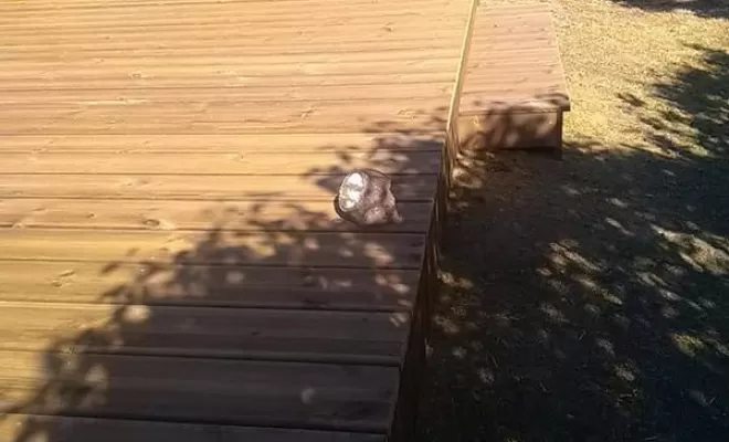 Création de terrasse en bois, Ambérieu-en-Bugey, Bugey Menuiserie et Rénovation